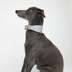 <span class=keywords><strong>Collar</strong></span> de entrenamiento para perros de cuero multicolor Sighthound, conjunto de <span class=keywords><strong>Collar</strong></span> ajustable para perros, <span class=keywords><strong>Collar</strong></span> personalizado para mascotas, accesorios para mascotas - Product Image 6