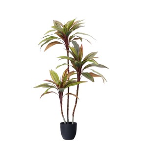 Plante artificielle Cordyline Fruticosa pour aménagement paysager, ornement de jardin, décoration intérieure en plastique, plantes artificielles, fausses plantes - Product Image 5