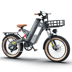 Hollandalı depo E bisiklet Fattire elektrikli bisiklet 750w 500w 250w Fatbike Coswheel m20 elektrikli kalın tekerlek bisiklet 20 inç 48v bisiklet