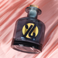 Décoration de maison de luxe vide 250ml 500ml bouteille de diffuseur de roseau en verre bouteille de diffuseur d'arôme de roseau bouteille en verre de parfum