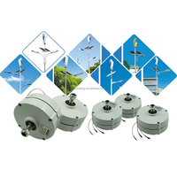 Generador de Imán Permanente de Baja Velocidad y Potencia Personalizable de 2kw 3kw 96v 120v 220v para Aplicaciones de Energía Oceánica y Hidráulica