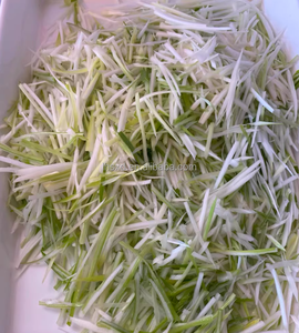 Trituradora de <span class=keywords><strong>cebolla</strong></span> de acero inoxidable trituradora de apio - Product Image 5