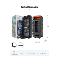 Hot Selling Outdoor Portable 15W * 2 Output Party Lautsprecher mit RGB-Leuchten mit kabel gebundenem Mikrofon Square Dance Lautsprecher