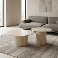 Ensemble de tables basses rondes, 2 tables avec plateau en MDF, base en MDF, table centrale minimaliste pour salon