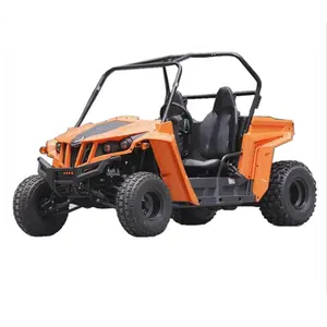 2023 şaft tahriki yetişkin 200cc spor buggy 4x2 jinlang motor 200cc UTV