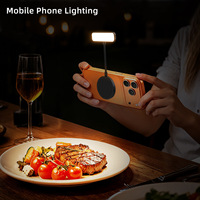 Lampe LED magnétique pliable 5-en-1 rechargeable pour lecture et maquillage avec anneau lumineux et lumière d'appoint magnétique MagSafe pour téléphone