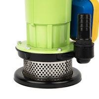 Ventes Directes Usine Pompe à Eau Submersible Électrique 0,33 CV pour Usage Domestique, Industriel et Irrigation