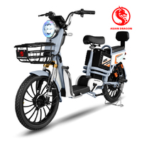 Vélo électrique tout-terrain à deux roues avec moteur de moyeu arrière 750W 48V, pneus résistants à l'usure, longue autonomie, haute vitesse et capteur