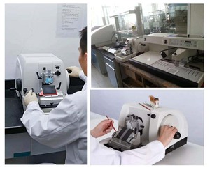 Dụng Cụ Phòng Thí Nghiệm Máy Làm Vi Mô Giáo Dục Dụng Cụ Làm Vi Mô Bệnh Học Máy Làm Vi Mô Quay Bán Tự Động - Product Image 4