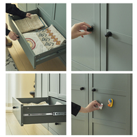 Armoire modulaire à 2 portes en acier avec impression par transfert pour chambre à coucher, armoire de rangement pour vêtements