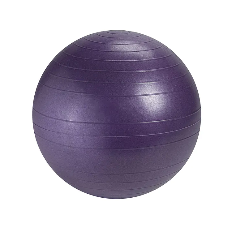 Übung Weiche Individuelles Logo 65cm PVC Transparent Balance Yoga Ball mit Abdeckung