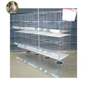 layer pigeon cage/poultry farm house design/galvanized collapsible pigeon cage trapping single door HJ-PC24