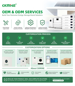 CKMINE <span class=keywords><strong>Prix</strong></span> direct usine Onduleur solaire tout-en-un 5kWh 10kWh 25.6V 51.2V Stockage d'énergie au lithium Vente en gros Agence OEM - Product Image 6