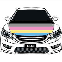 Housse de capot de voiture personnalisée Omnisexual Gay Rainbow, accessoire pliable en polyester pour protection temporaire contre le soleil en extérieur