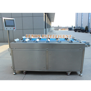 Balances combinées de pesage par lots multi-têtes WHD16 pour filets de poisson congelés, saumon, pangasius - Product Image 4