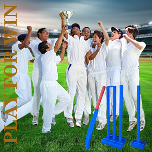 Venta caliente personalizado completo juvenil Cricket Set plástico playa deportes y juegos Bat Ball Kit para niños - Product Image 6