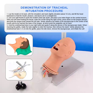 Modelo Médico ADA Avanzado para Intubación Traqueal y Traqueostomía Pediátrica J4A/J58 para Enseñanza, Aprendizaje y Entrenamiento de Enfermería (Shanghai) - Product Image 3