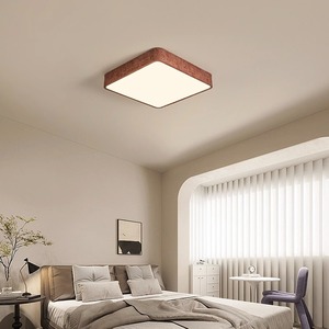 โคมไฟเพดานสไตล์วบิซาบิสมัยใหม่ ดีไซน์สร้างสรรค์แบบญี่ปุ่น ใช้ไฟ AC 6000K สำหรับห้องนั่งเล่น ห้องทำงาน ระเบียง มาตรฐาน IP44 ได้รับการรับรอง SAA - Product Image 3