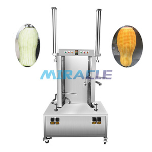 Éplucheur de pastèque en acier inoxydable, machine à éplucher la pulpe de noix de coco pour les magasins de jus - Product Image 2