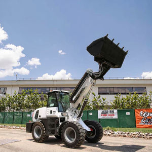 Pompa Motor dengan lengan teleskopik diartikulasikan fleksibel yang ditingkatkan 4x4 "muatan roda Mini 1 Ton Bucket kondisi baru - Product Image 4