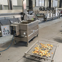 Continue productielijn voor het frituren van fruitchips, bananenplakjes frituurmachine, productielijn voor het frituren van bananenchips