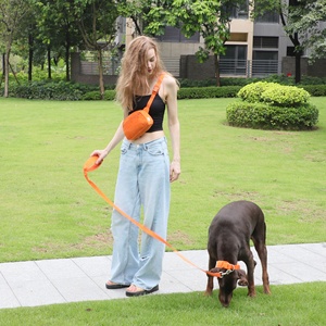 Harnais de luxe en velours côtelé anti-traction pour chien, collier et laisse personnalisés de créateur, sac à dos mignon pour promenades, laisse et harnais pour chien - Product Image 4
