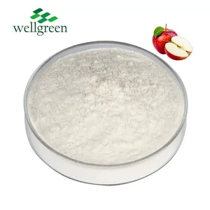 Manufacturer Bulk Price Raw Material Healthcare Food Grade Organic Apple Cider Vinegar Powder 5%