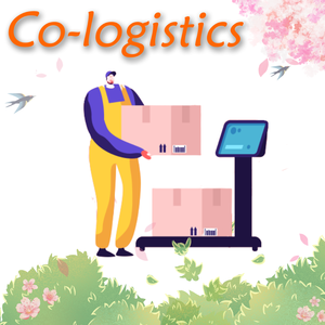 Саудовская Аравия DDP воздушная служба доставки от двери до двери, Китайский агент доставки в Джедду/Даммам - Product Image 3