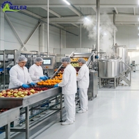 Ligne de production de purée de citrouille et de carotte fournie directement par l'usine avec machine de remplissage et d'emballage