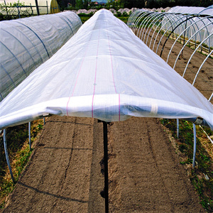 Film de serre tissé renforcé <span class=keywords><strong>200</strong></span> <span class=keywords><strong>microns</strong></span>, bâche polyéthylène robuste et imperméable pour la protection des vergers et des plantes - Product Image 6