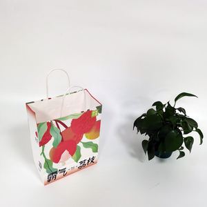 Bolsa de Papel Kraft Blanca con Impresión Completa, Materiales Reciclados, Embalaje para Bebidas, Bolsa para Llevar Comida, Asa Larga, Logotipo OEM, Té - Product Image 1