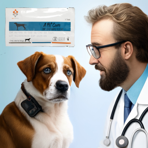 <span class=keywords><strong>Kit</strong></span> de <span class=keywords><strong>test</strong></span> rapide pour la maladie de Carré chez le chien, équipement vétérinaire à usage unique pour les soins des animaux de compagnie - Product Image 5