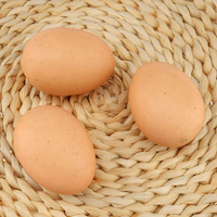 Huevos falsos de plástico, modelo de broma, granja, pollo, nido, gallina, incubar