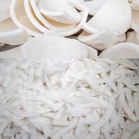 Máquina Cortadora de Pulpa de Coco Automática, Máquina de Cortar Coco en Cubos para Plantas de Procesamiento de Frutas y Panaderías