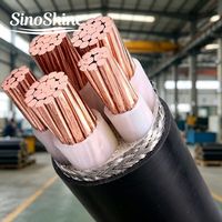 Kabel Daya Tegangan Menengah 0.6/1kV Tembaga XLPE PVC 2 3 4 5 Inti 2.5mm 6mm 10mm untuk Pasokan Listrik di Lokasi Konstruksi