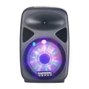 8 Inch SL-08 100W Output Power 7.4V 2X2200mAh Li Battery Portable Rechargeable Portable Speaker with Wireless Microphone Remote