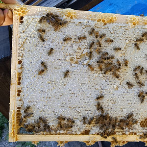 Compra Miel 100% Original 1KG Miel Natural Líquida - Product Image 3