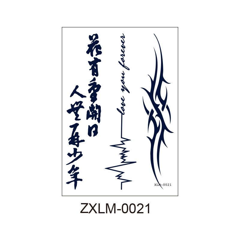 ZXLM-021