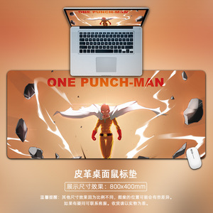 PU 800x400mm - Product Image 4