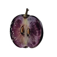 Transparante fruitbladwijzers watermeloen appel vijg hoge kwaliteit acryl bladwijzers
