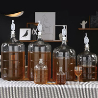 Conteneur en verre pour la fermentation du vin, transparent, 1 gallon, 3 gallons, 5 gallons, 6 gallons, carafe