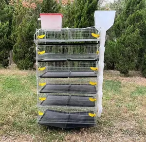 Cage de caille design cage à oiseaux avec extracteur automatique de fumier cage d'élevage de cailles pour élevage de cailles