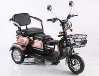 Nouveau Tricycle Électrique à 3 Roues pour Adultes, 60V 800W, 2 Places avec Panier, Idéal pour les Terrains de Golf et les Trajets Urbains - Vente Flash