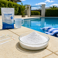 Stabilisateur CYA pour piscine CYA20260924E, formulé pour un chlore optimal