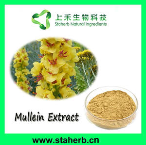 Coleus-extracto de forskoglii, <span class=keywords><strong>Forskolin</strong></span> 1-20%, Coleus, forskohli(Wild.), Briq - Product Image 6