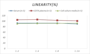 Human CKM (<strong>Creatine</strong> Kinase Muscle) ELISA Kit - Product Image 3