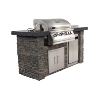 Table de foyer en fonte pour barbecue au gaz propane, 60 pièces, pour camping