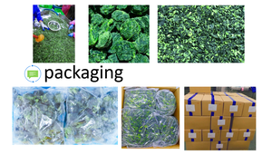 Trung Quốc Xuất Xứ Brc Một Đã Được Phê Duyệt 25-35G Hữu Cơ Tươi Màu Xanh Lá Cây Iqf Đông Lạnh Rau bina Lá Tại Giá Bán Buôn - Product Image 6