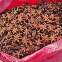 Selected Star Anise Whole Dried Spices Illicium Verum a Grade Natural Condiment for Meat Soup and Pho Seasoning Wholesale