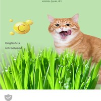 Bol de nourriture Hydroponique sans sol Herbe de chat en pot Réduction des poils de chat Digestion pour bols de chat